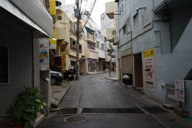 DSC07471.jpg