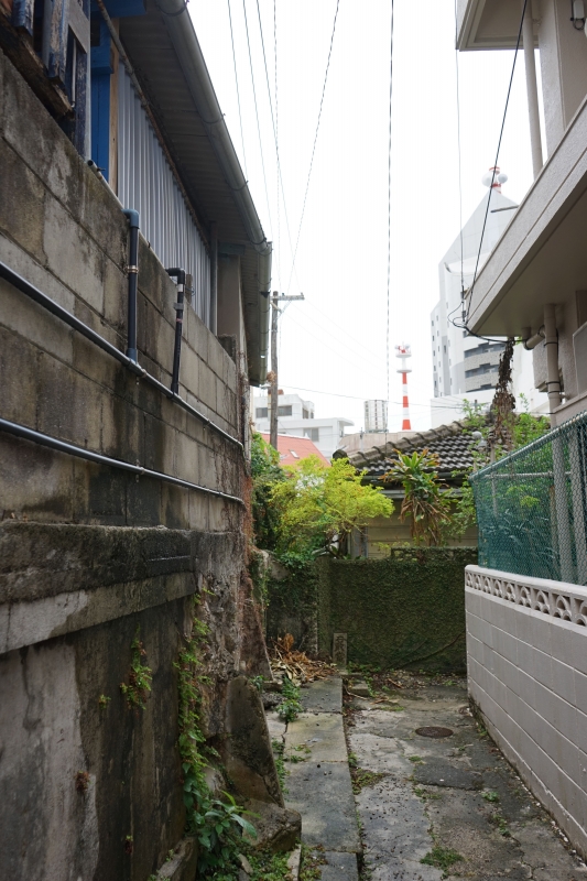 DSC07478_2.jpg