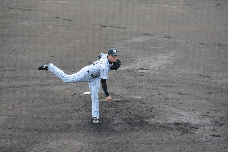 DSC_4567.jpg