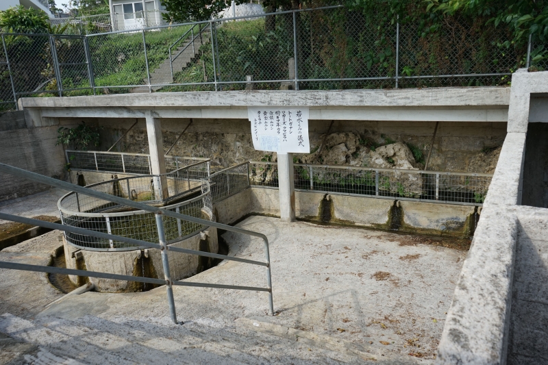 DSC09060.jpg