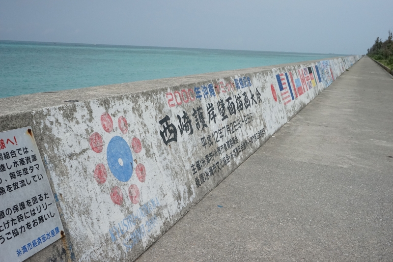 DSC09080.jpg