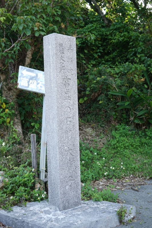 DSC09201.jpg