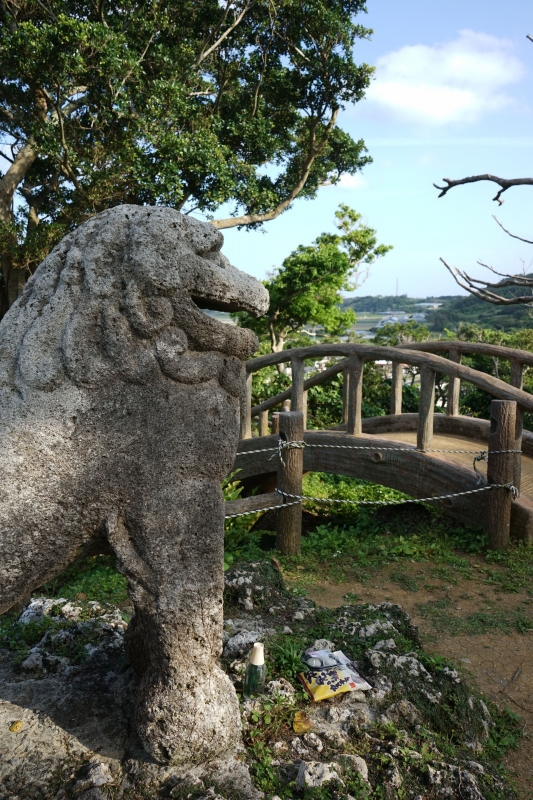DSC09209.jpg