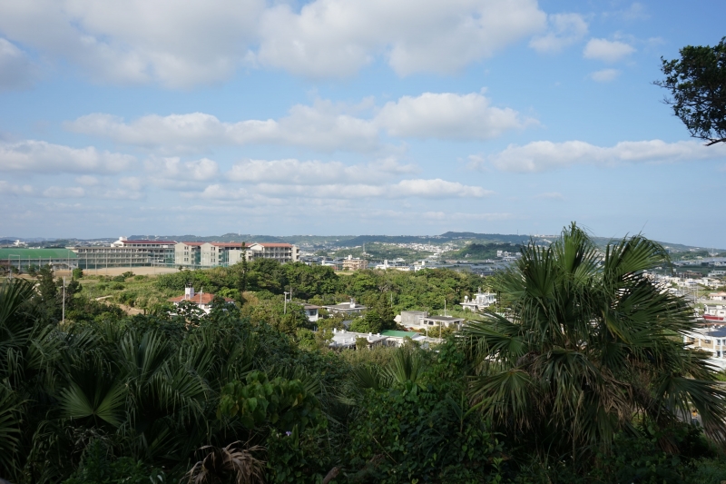 DSC09211.jpg