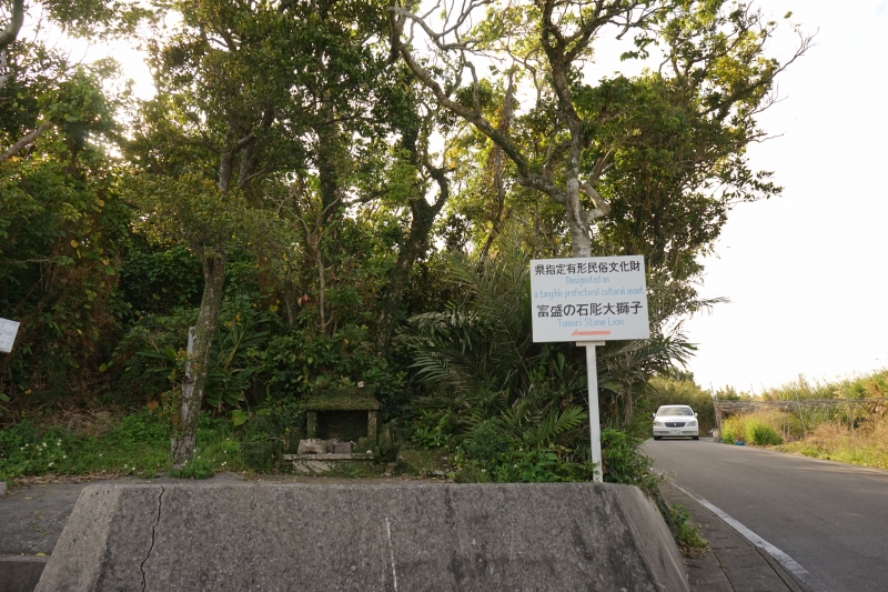 DSC09218.jpg