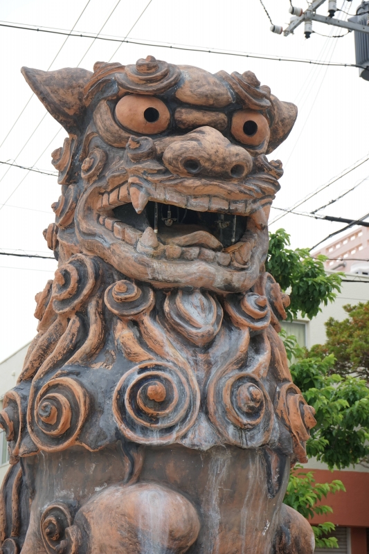 DSC09414.jpg