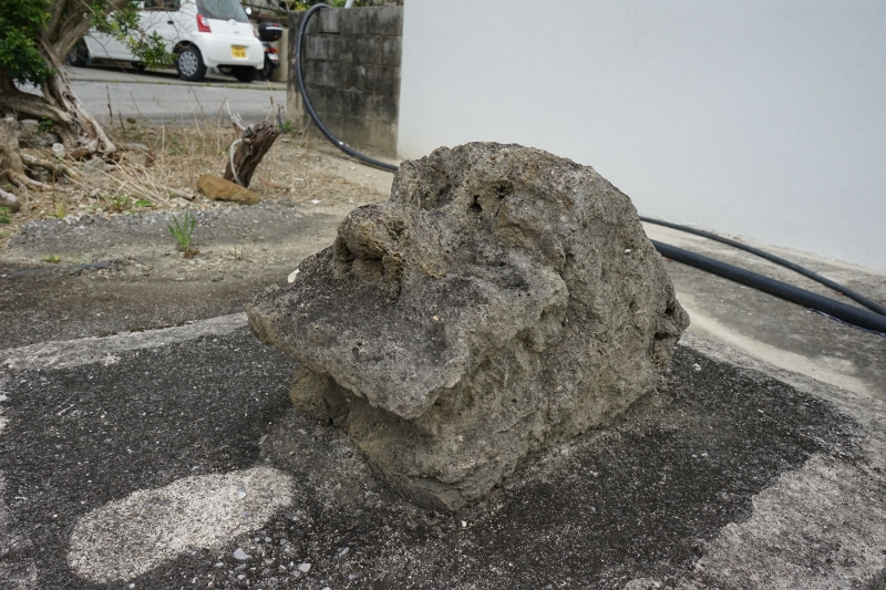 DSC09536.jpg