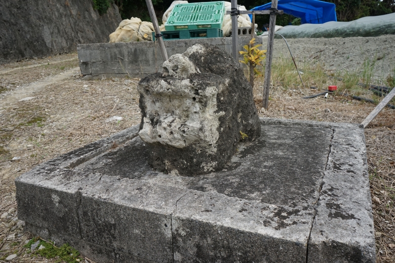 DSC09538.jpg