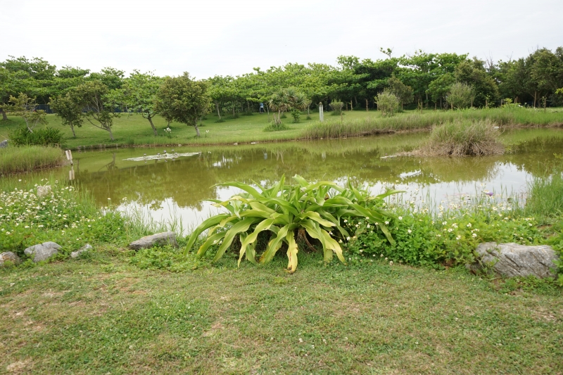 DSC09608.jpg