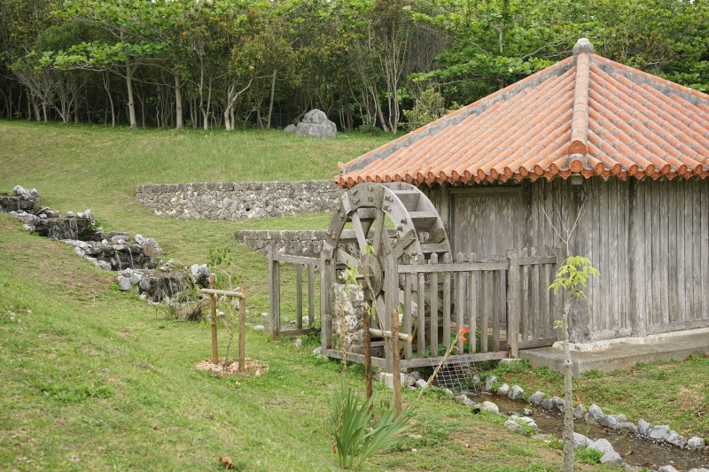DSC09613.jpg