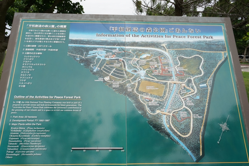 DSC09625.jpg