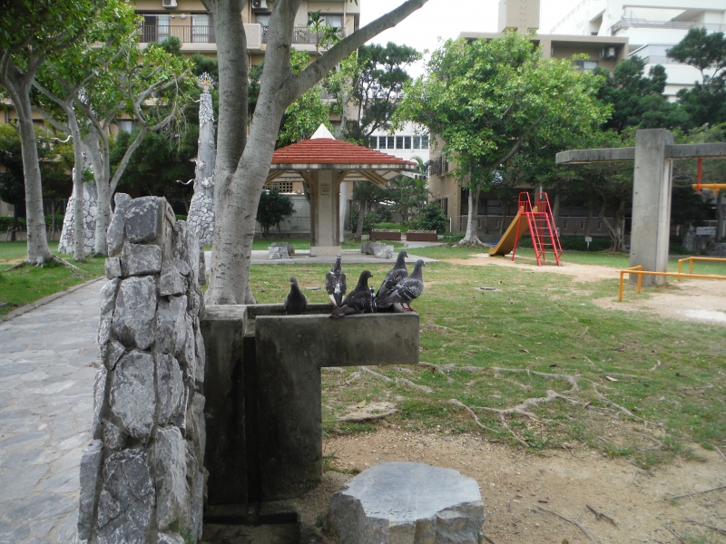 DSCF1220.JPG
