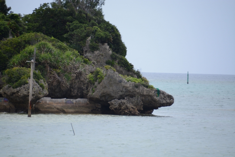 DSC_6509.jpg