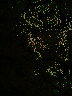 080404_0337~01001.jpg