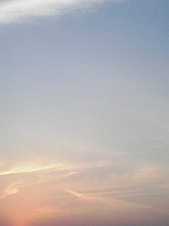 090520_1829~01.jpg
