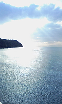 100203_1535~01.jpg