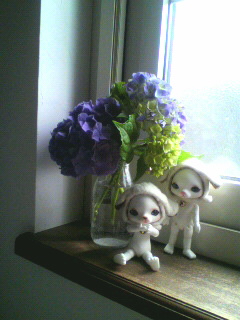 2010072410150000.jpg