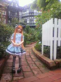 2013090611210000.jpg