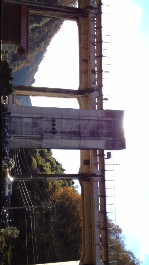 mini_151115_1435.jpg