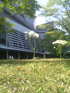 20070602_326841.jpg
