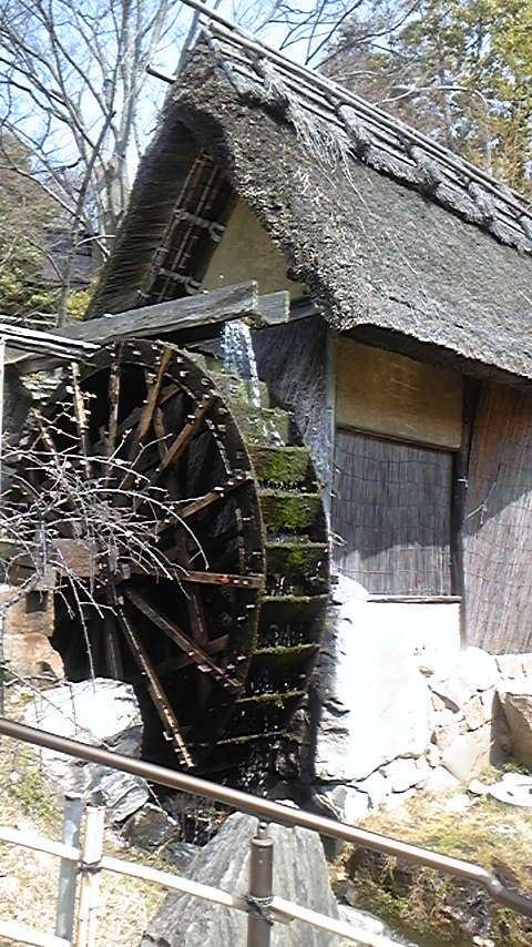 100314_122740.jpg