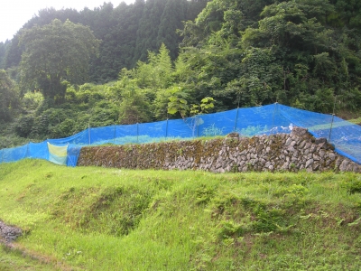 イノシシ用柵