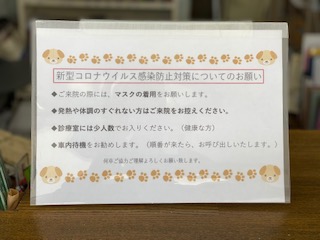 IMG_0966.jpg