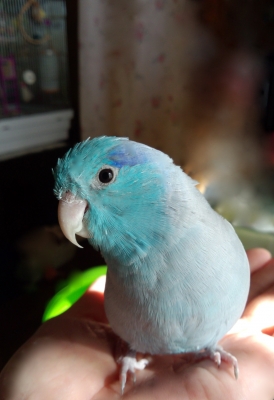 春くん2.jpg