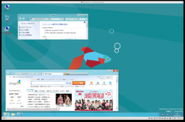 Mac Windows8