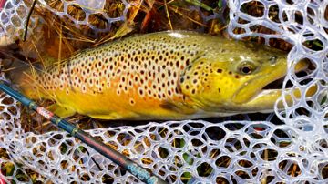 20171117_103917.jpg