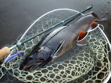RIMG6018.jpg