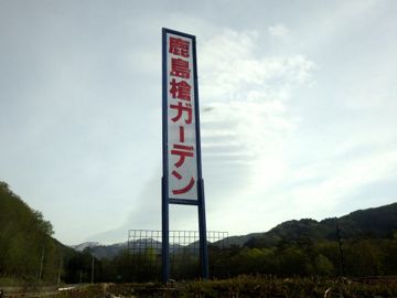 RIMG8538.jpg