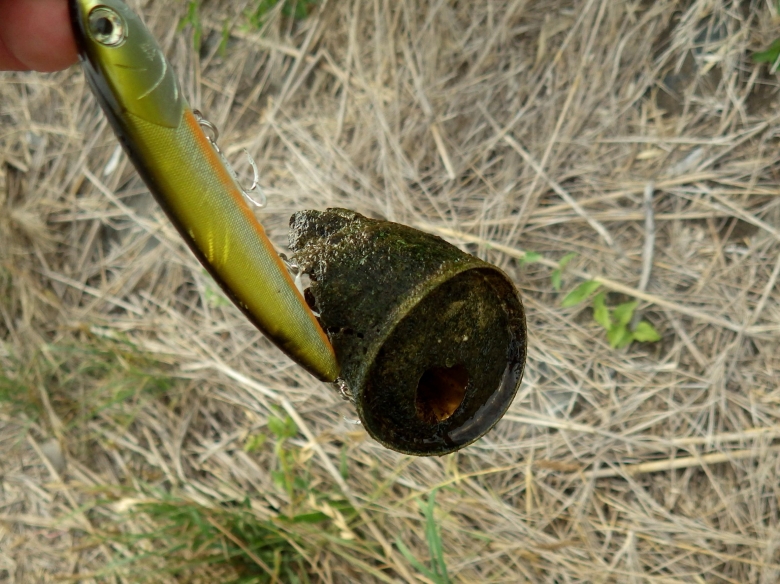 RIMG8753.jpg