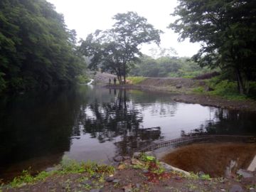 RIMG8929.jpg