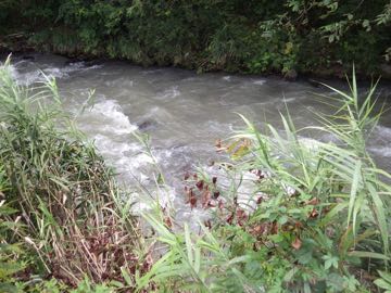 RIMG3944.jpg
