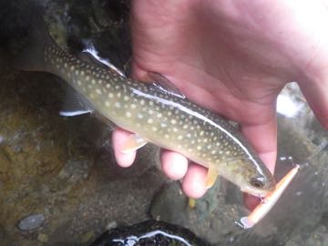 RIMG4077.jpg