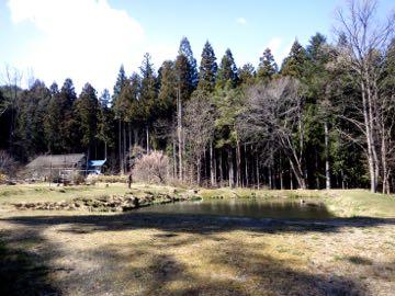 RIMG7845.jpg