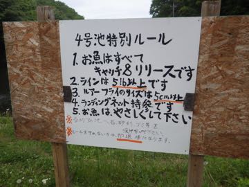 RIMG8725.jpg