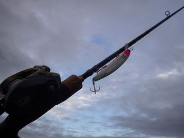 RIMG9019.jpg