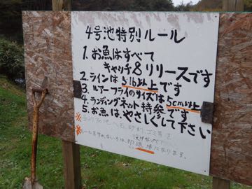 RIMG0833.jpg