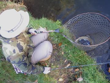 RIMG1137.jpg