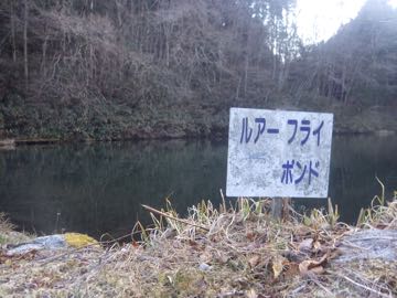 RIMG2585.jpg