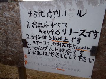 RIMG2764.jpg