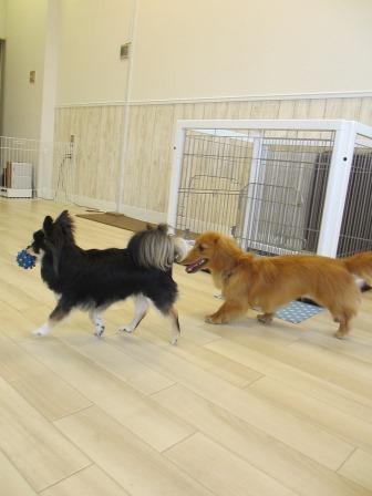 20130508_300371.jpg