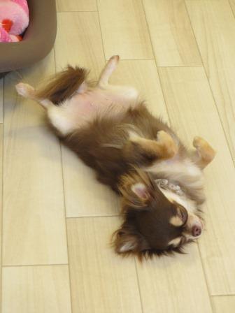 IMG_5674.JPG