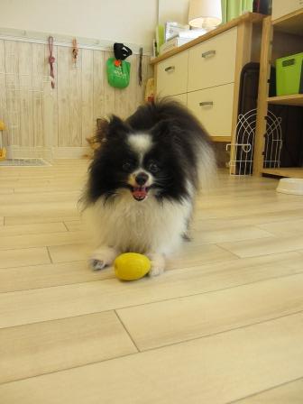 IMG_0959.JPG