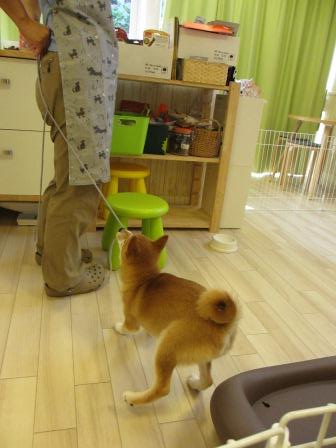 IMG_6264.JPG