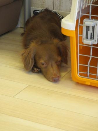 IMG_6055.JPG