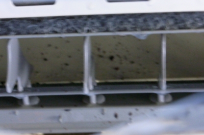 R0011890.JPG