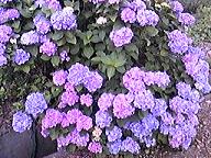 100624_180209.jpg